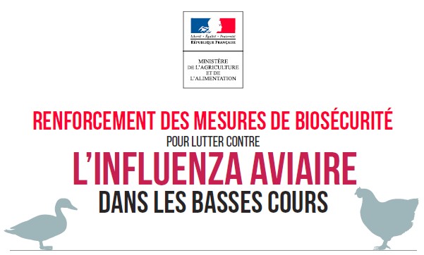 Lire la suite à propos de l’article Lutte contre le virus influenza aviaire hautement pathogène de sous-type H5N8