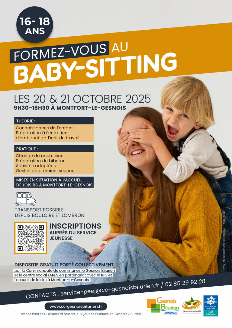 Lire la suite à propos de l’article Formation Baby-Sitting
